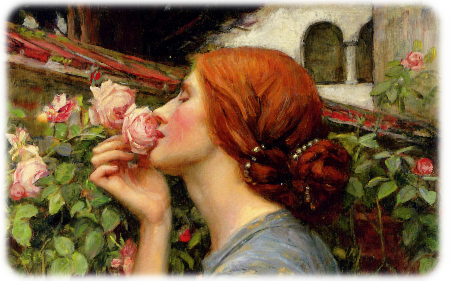 waterhouse_rose