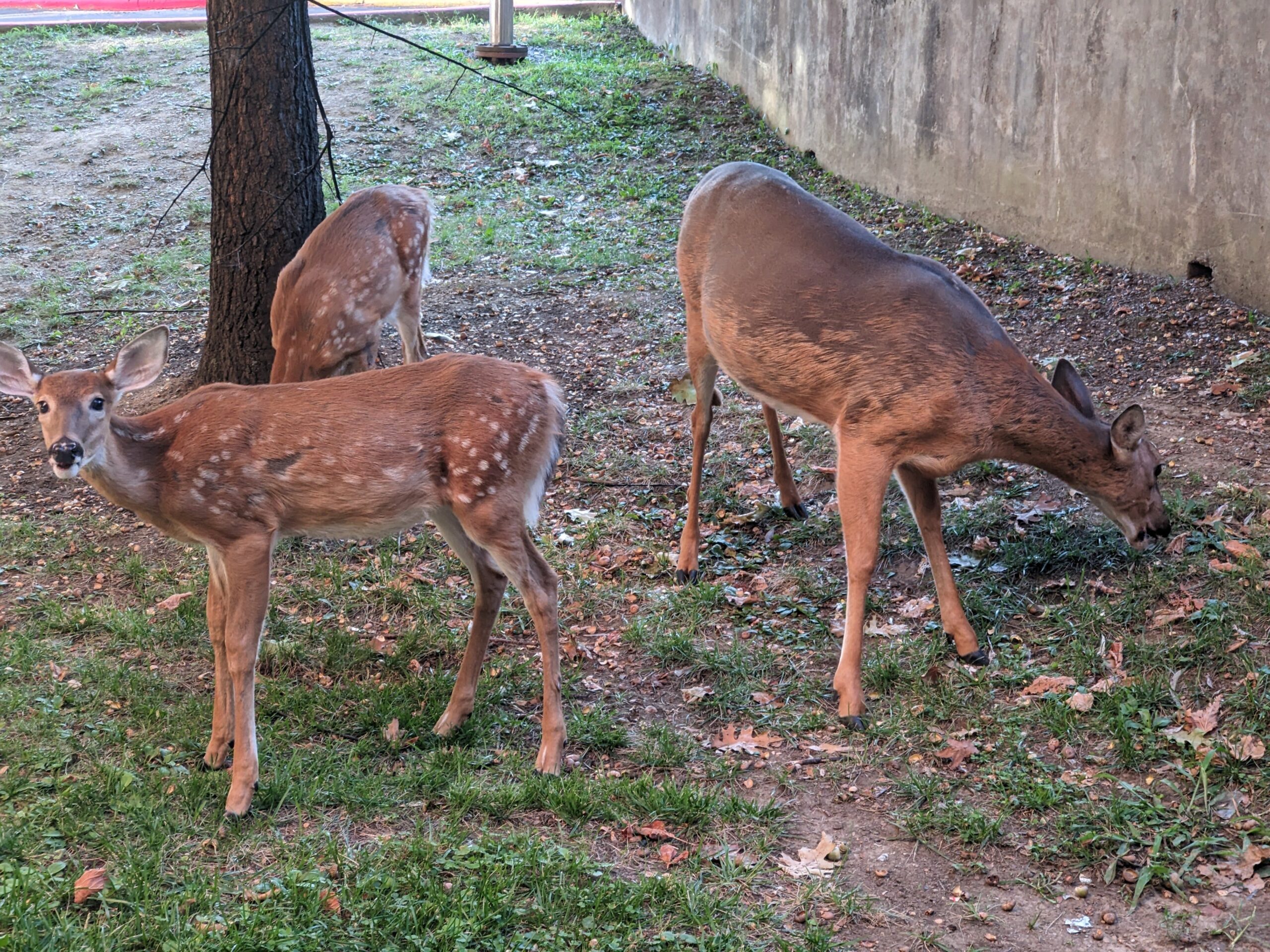 PXL_20240910_124547324