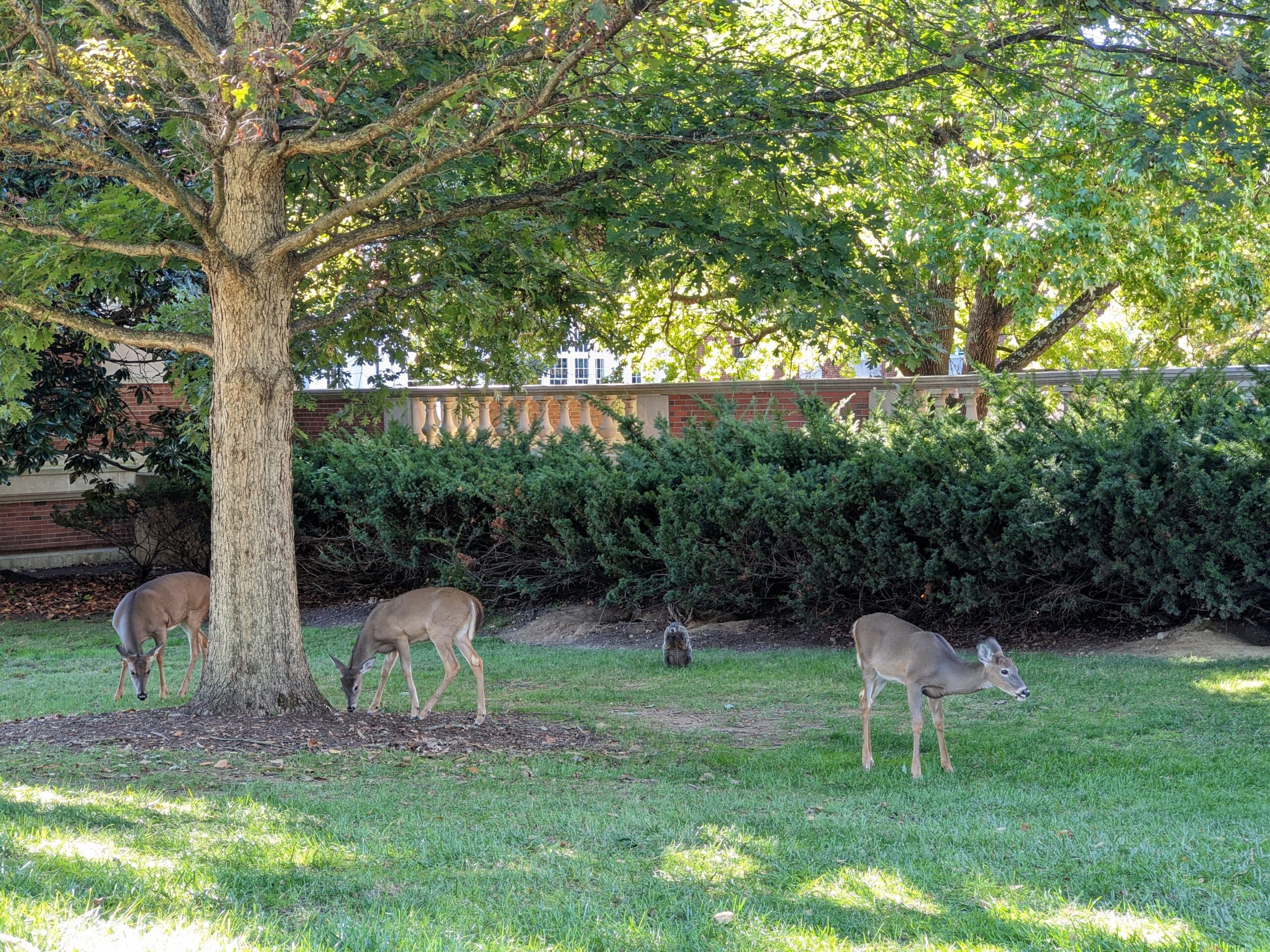 PXL_20241009_195943833