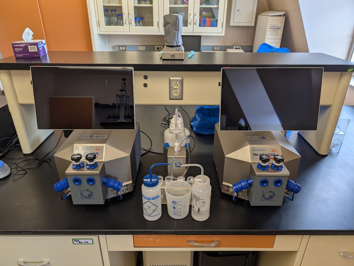 Shiny new Oroboros O2k