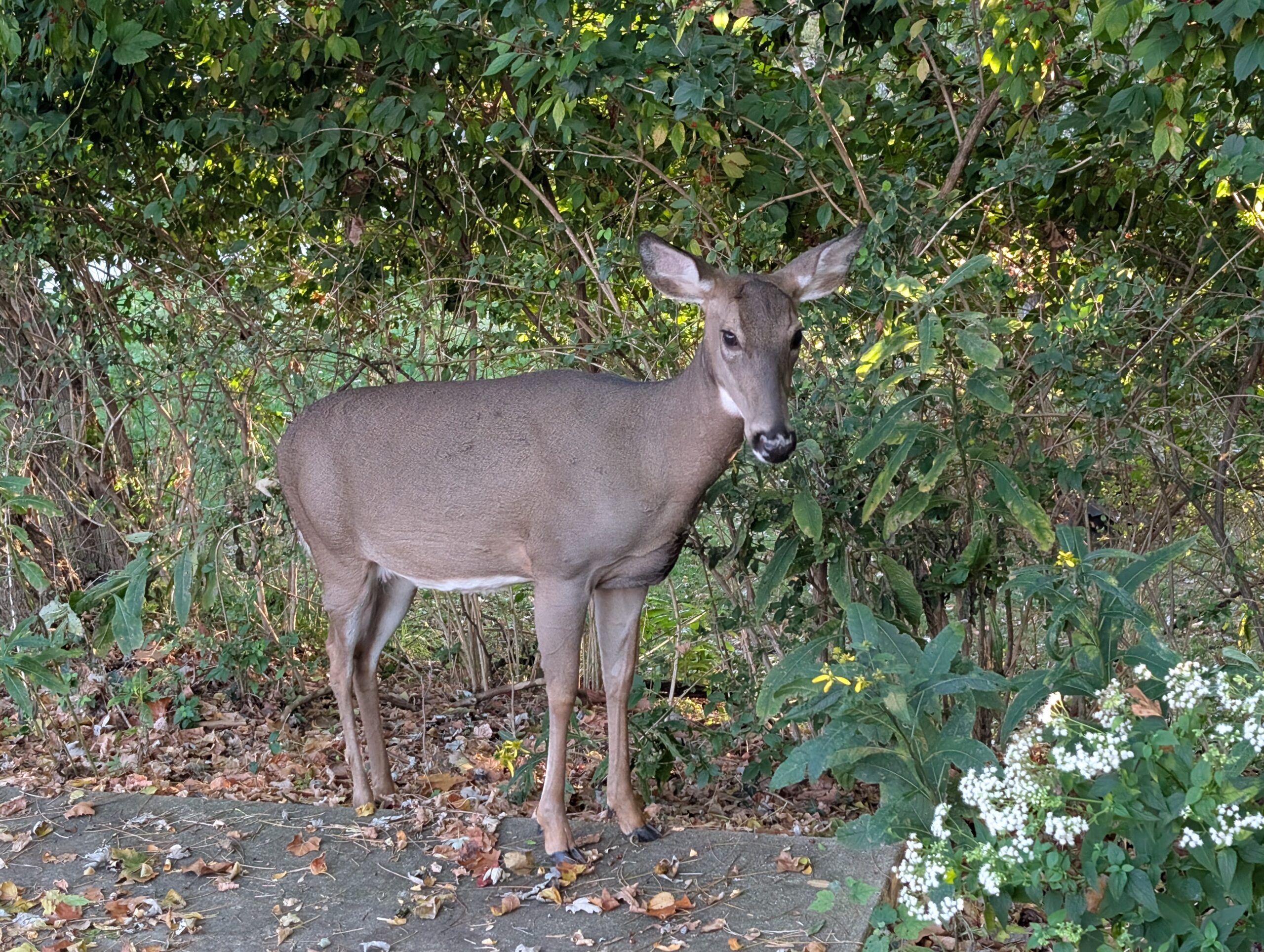 PXL_20251021_215401985