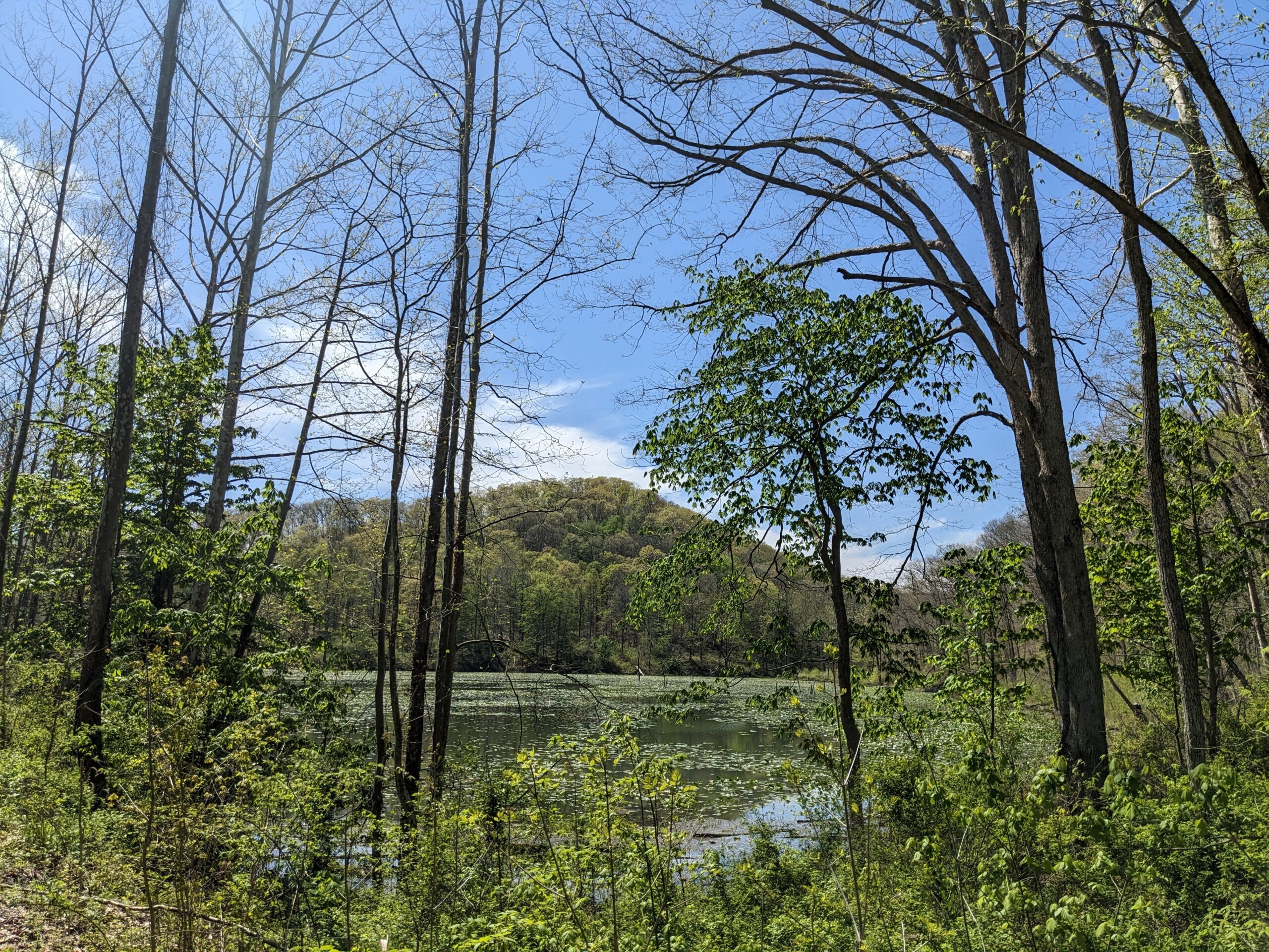 PXL_20250427_190252970