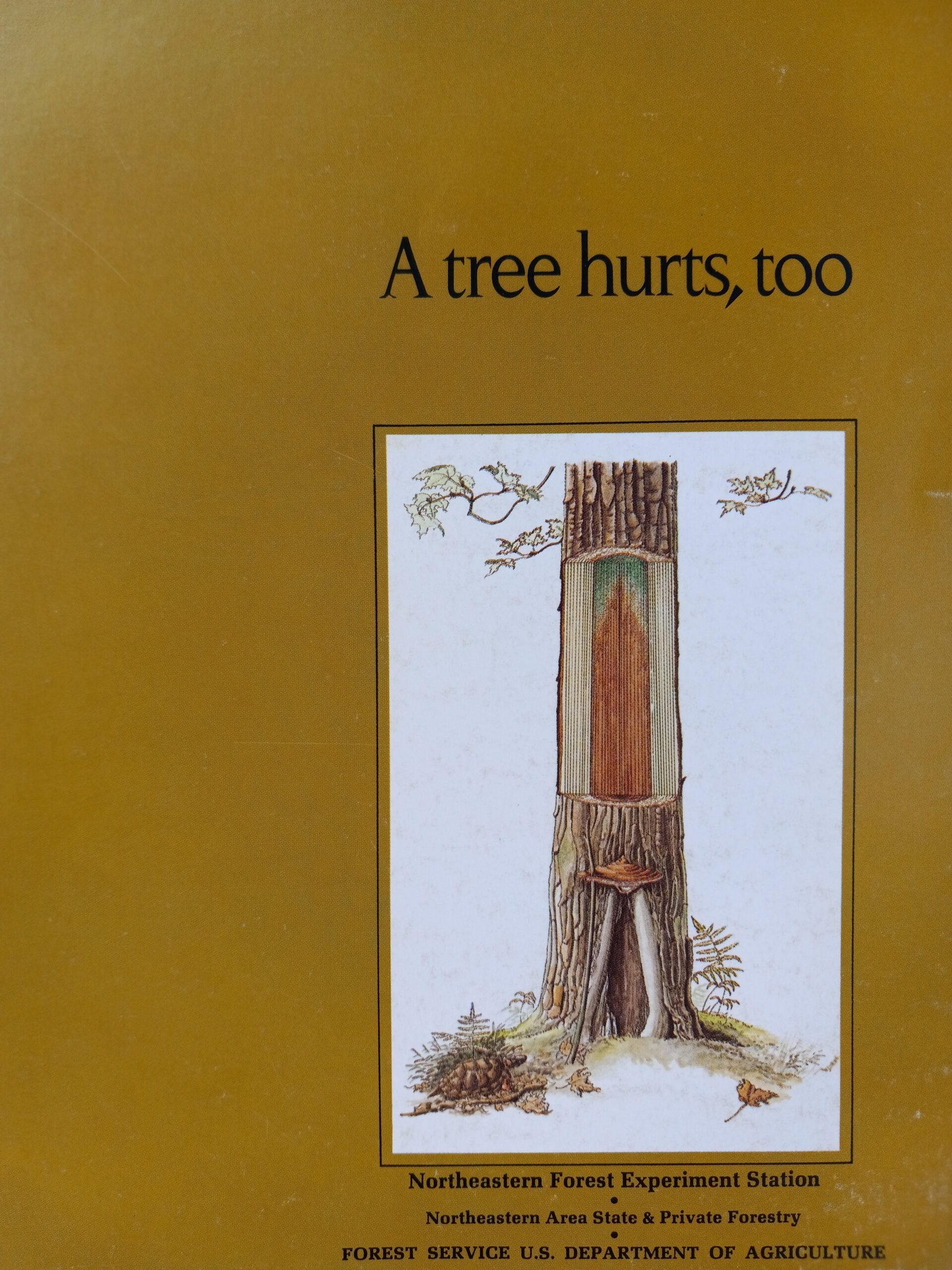 Drawing of inside of tree beneath a title "A tree hurst, too" publication cover.