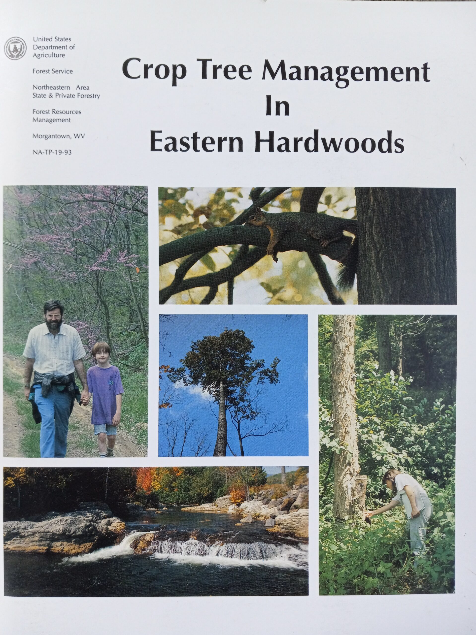 5 images of trees and people and a squirrel in the forest on the cover of "Crop Tree Management for Eastern Hardwoods" publication