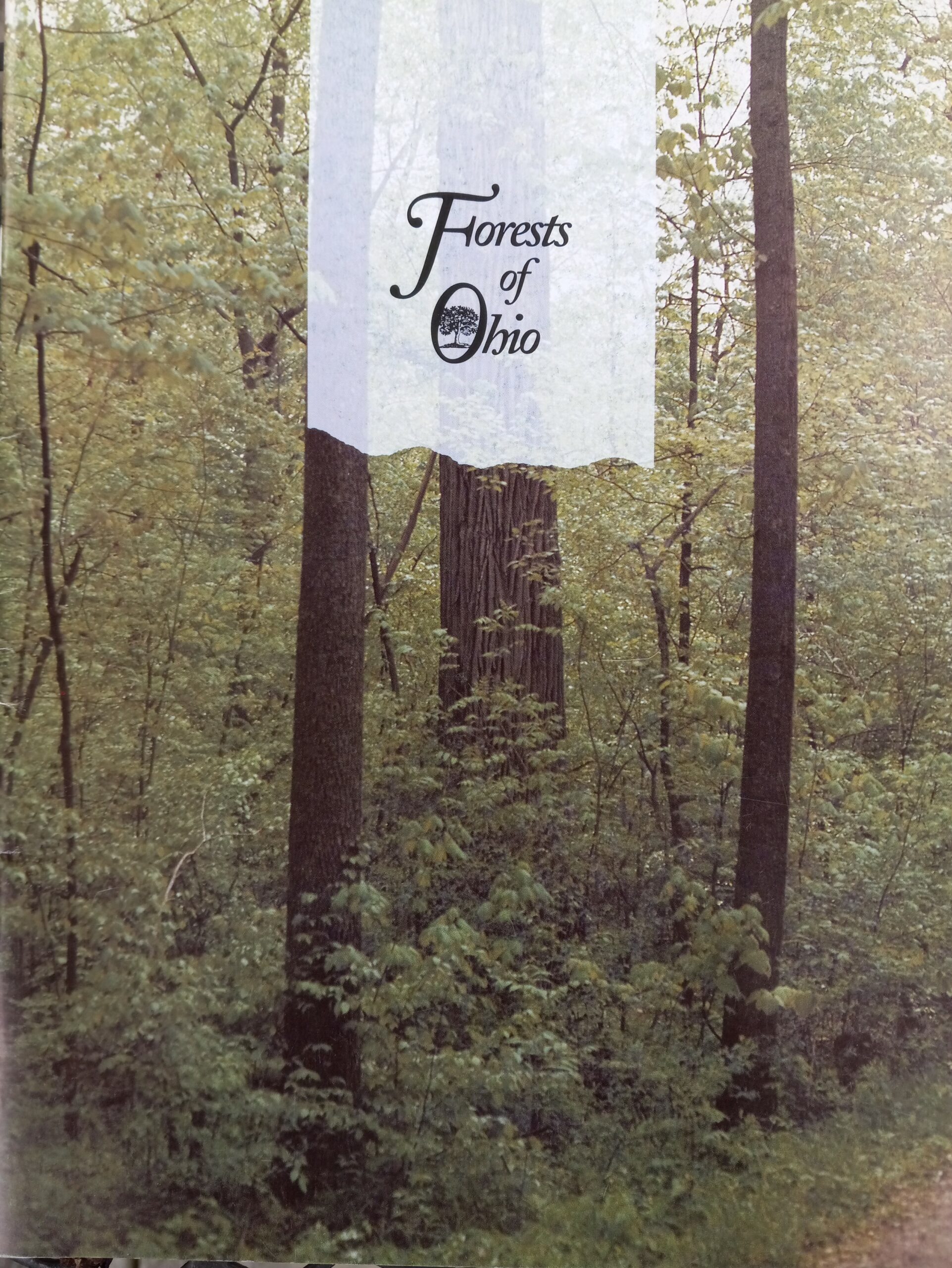 Cover of Forests of Ohio with a color image of tree trunks in a forest