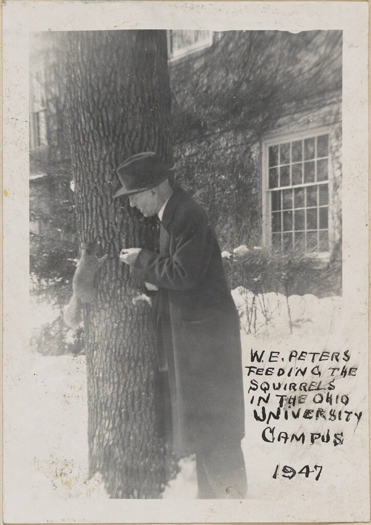 Scrapbook photo from 1947 showing W.E. Peters feeding a squirrel in a tree on Ohio University College Green