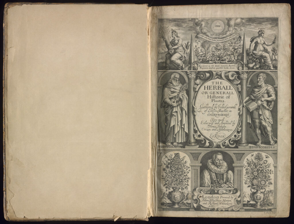 Black and white engraved title page of The Herballby John Gerard, 1633