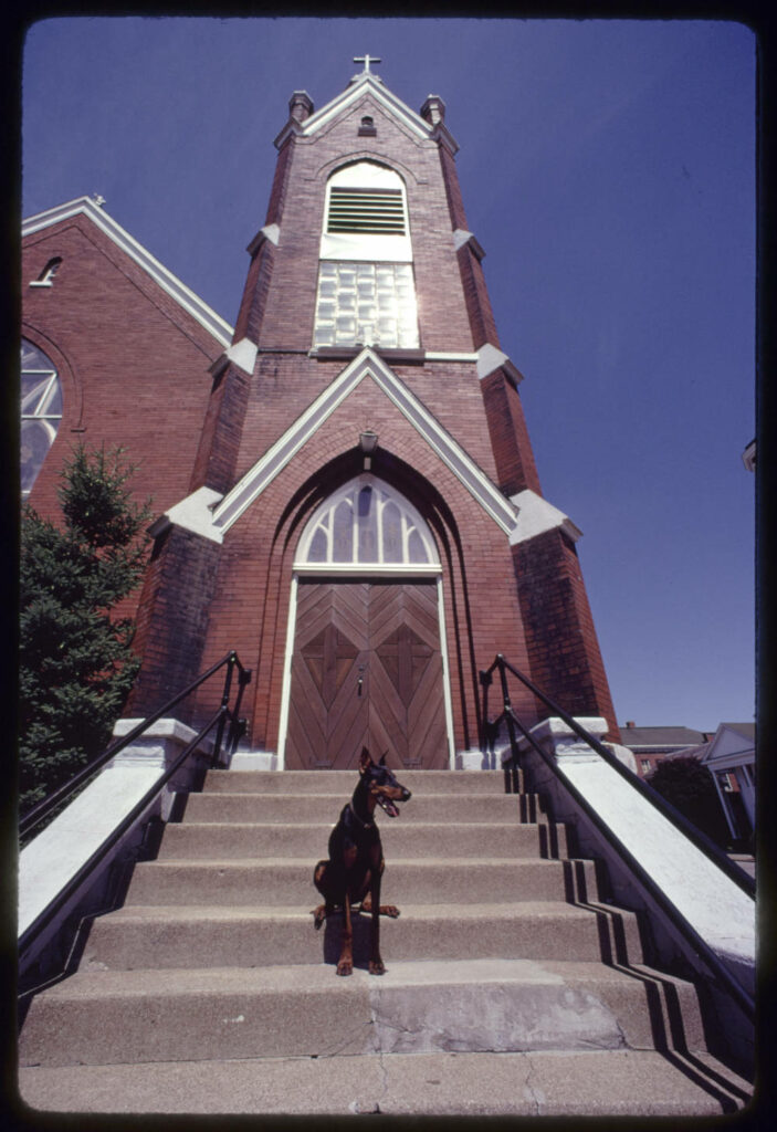 Doberman dog seated on the front steeps of a church with steeple