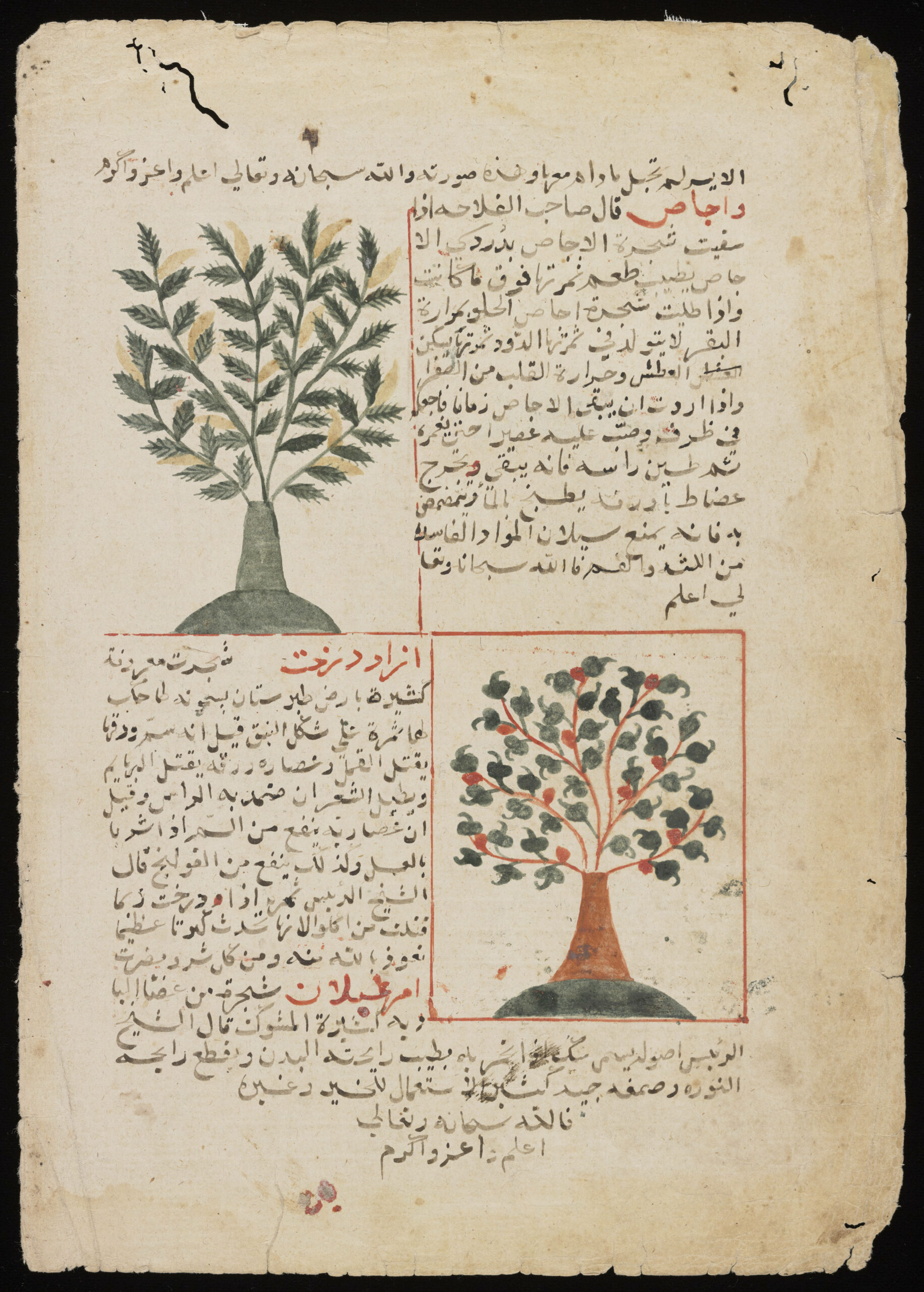 Persian and Arabic Manuscripts in the Digital Archives