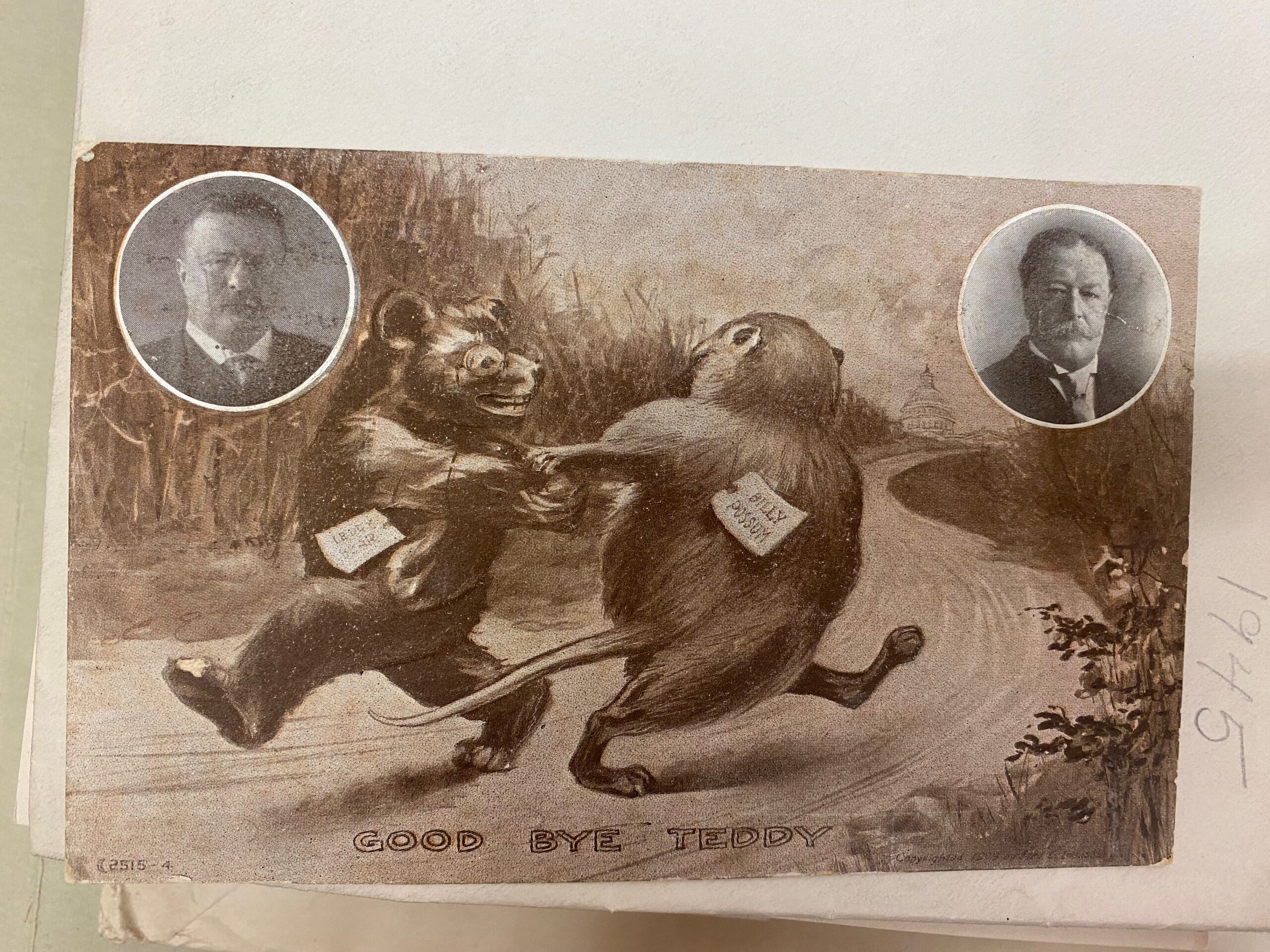 A cartoon bear and possum dance in the center of the image. Floating circles with photos of candidates Teddy and Billy appear in the upper right and left hand corners.