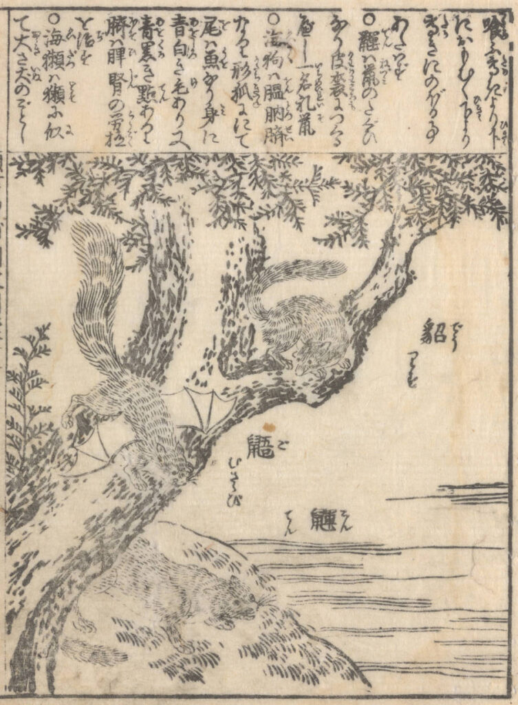 Woodblock illustrated print with Japanese text and winged, squirrel-like animals climbing trees