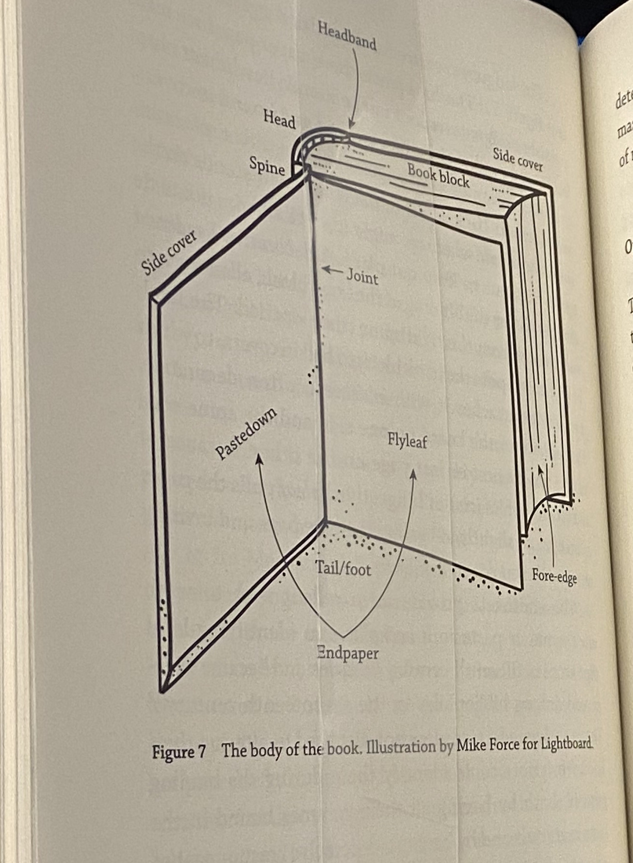 Dissecting Anatomical Structures: Curating an Exhibit on Books & Bodies