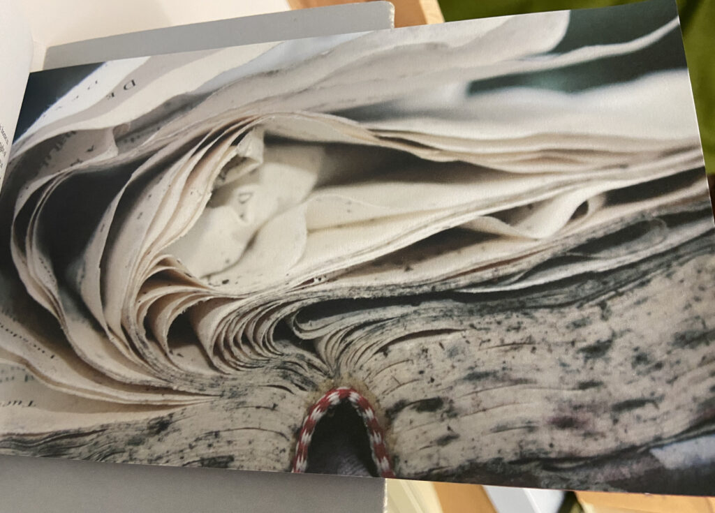 A photograph of a damaged book from Al Mutanabbi I by Ellis.