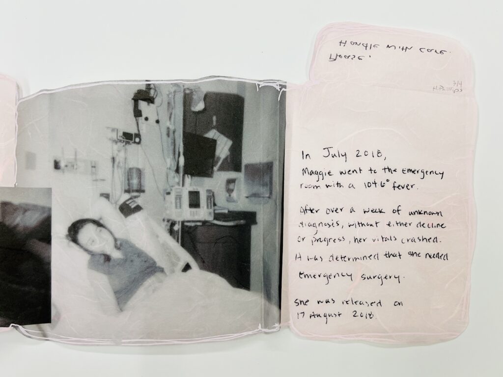 M. by Maggie & Hattie Phillips.Created in 2019 for Letterpress & Bookbinding with instructor Don Adleta. Multi-directional folded pink Thai Unryu (Mulberry) paper with digital and screen-printed images. Contained in a laser-cut and laser-printed wooden box with clear acrylic lid.