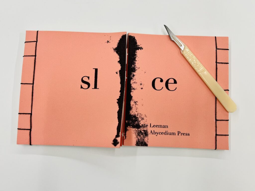 Slice by Kate Leeman. Created in 2006 for Art 392 with instructor Don Adleta. Cover is pink EVA foam sheet bound with a medical scalpel.