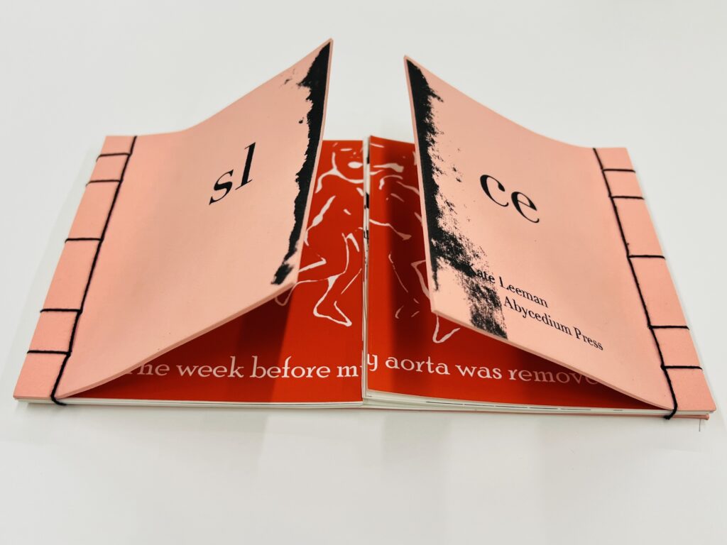 Slice by Kate Leeman. Created in 2006 for Art 392 with instructor Don Adleta. Cover is pink EVA foam sheet bound with a medical scalpel.