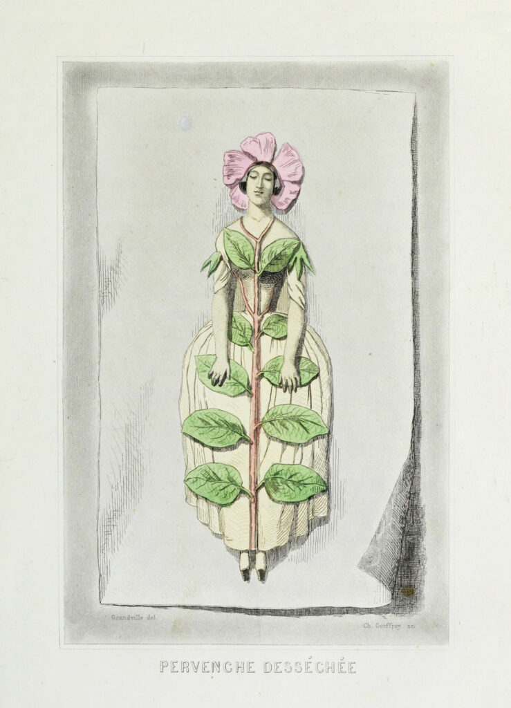 Illustration of female figure overlayed with plant stem and leaves, and a flower blossom at her head