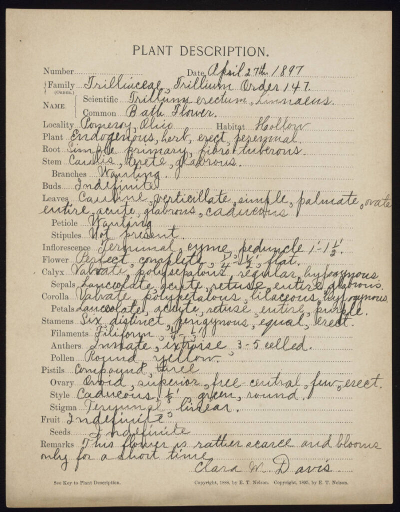 Plant description form with handwritten notes and details pertaining to trillium