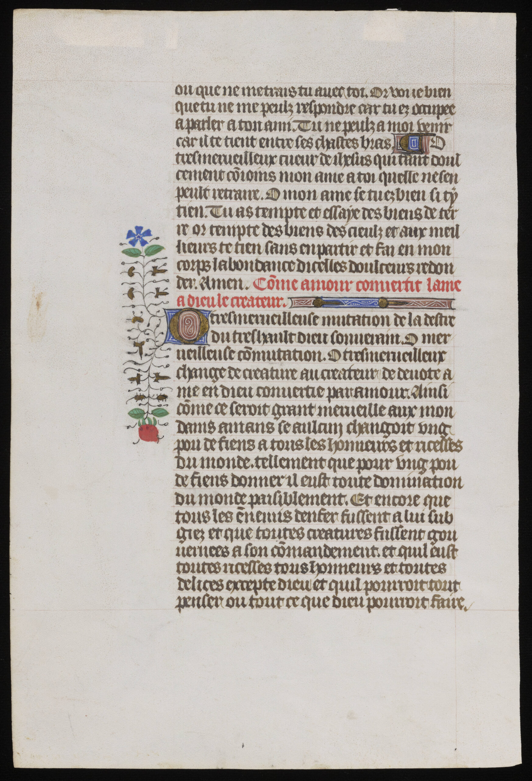 Through a New Lens: Processing Photographic Materials in the Gilbert and Ursula Farfel Collection of Incunable and Manuscript Leaves