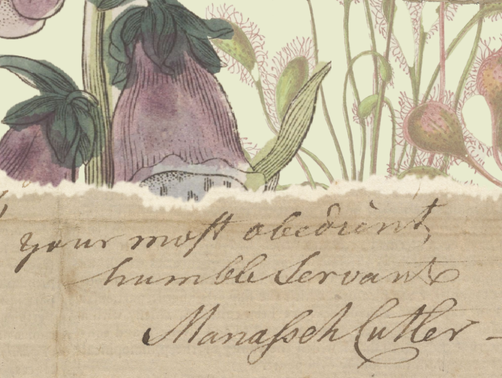 Graphic with botanical illustrations and a scrap of aged paper from a letter signed by Manasseh Cutler.