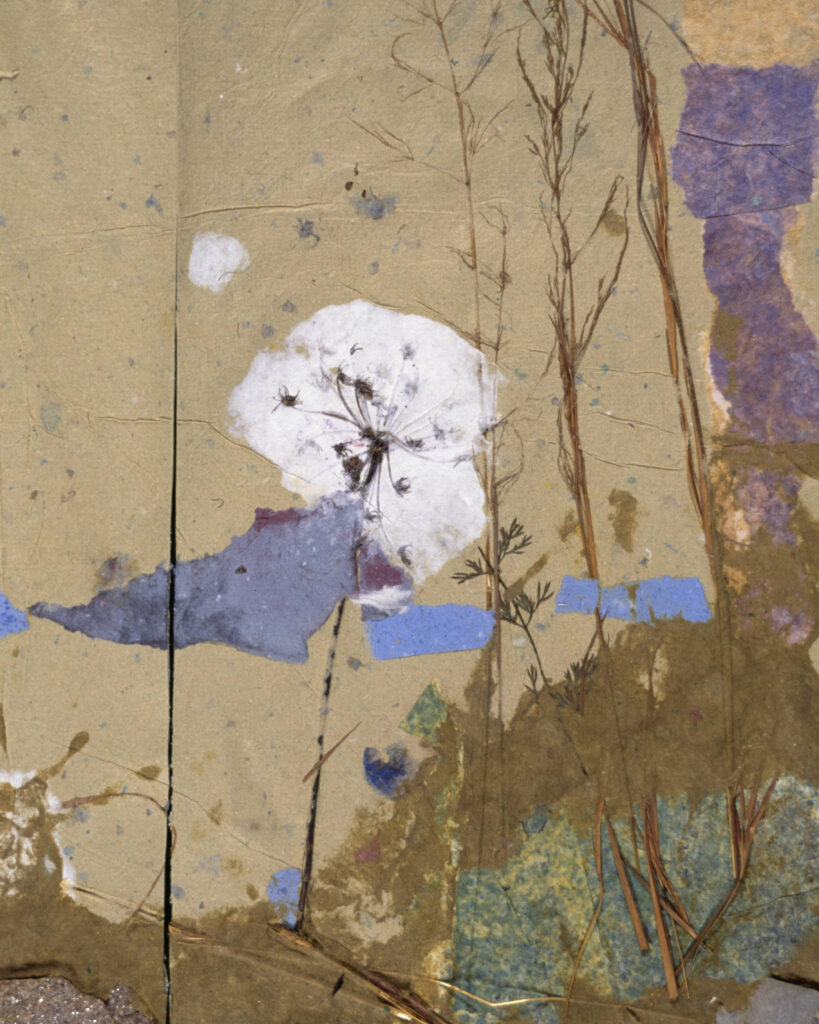 Collaged art work incorporating handmade paper and plant stems to create a composition resembling a landscape.