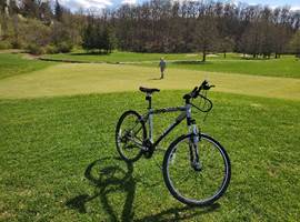 A picture containing grass, outdoor, bicycle, tree

Description automatically generated